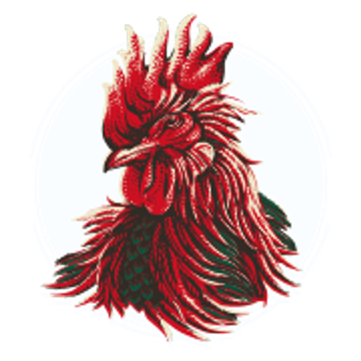 Rooster Rojo Rooster Rojo