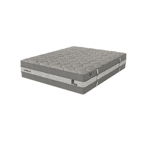 Genessi Chancellor Medium King Mattress Extra Length