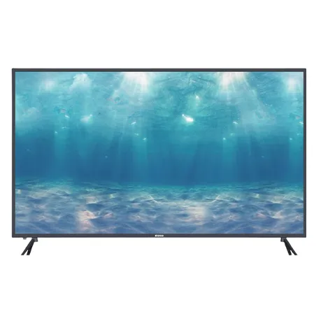 65" 4K UHD LED Smart TV - Ecco LH65S, WebOSTV, Netflix, Disney+, HDMI