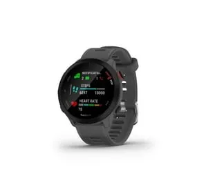 Garmin Forerunner 55 Smartwatch - Monterra Grey