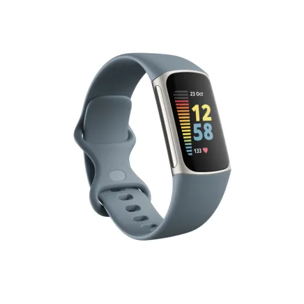 Fitbit Charge 5 Steel Blue Platinum