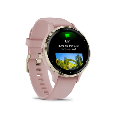 Garmin Venu 3S: Soft Gold Stainless Steel Bezel Dust Rose Case and Silicone Band