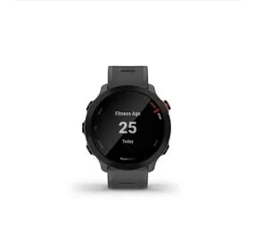 Garmin Forerunner 55 Smartwatch - Monterra Grey