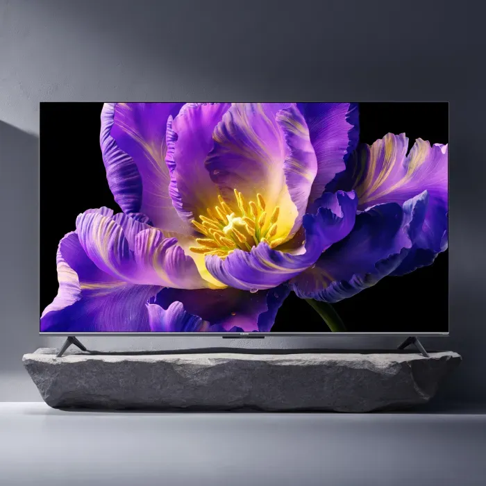 Xiaomi 65-inch QD Mini LED 240HZ TV-65ELA5676GL