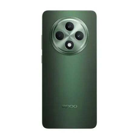 Oppo Reno12 FS 5G Dual Sim 512GB - Olive Green