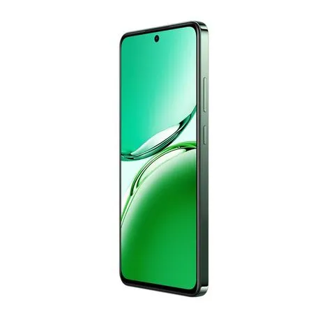 Oppo Reno12 FS 5G Dual Sim 512GB - Olive Green