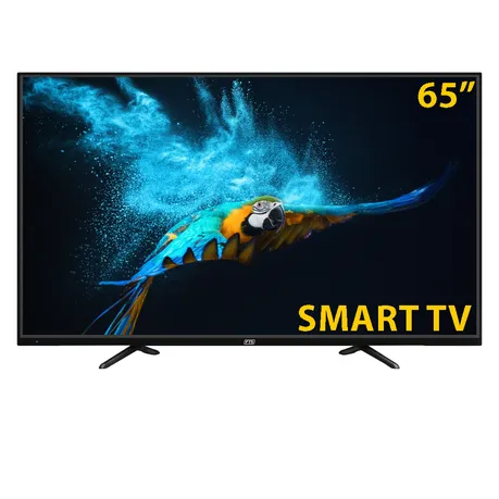 FTS 65'' Google 4K UHD TV OM1865S